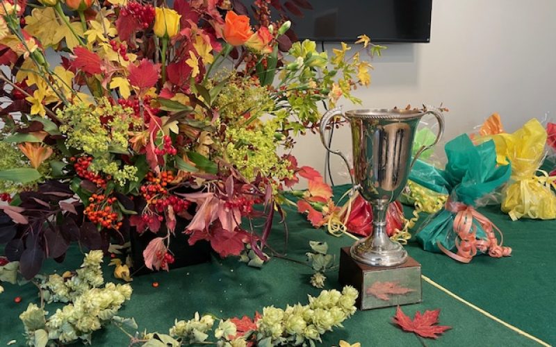 Ladies Autumn Meeting 7th October